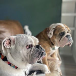 Meet your Posher, Jacqueline